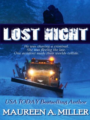 cover image of Lost Night